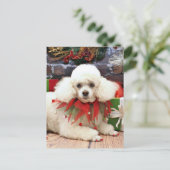 Kerstmis - Poodle - Sophie Feestdagenkaart (Staand voorkant)