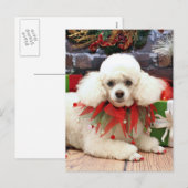 Kerstmis - Poodle - Sophie Feestdagenkaart (Voorkant / Achterkant)