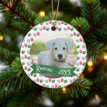 Kerstmis Poots Foto van Huisdier