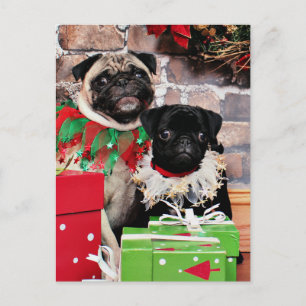 Kerstmis - Pug - Daisy Mae en Lelie Lou Feestdagenkaart