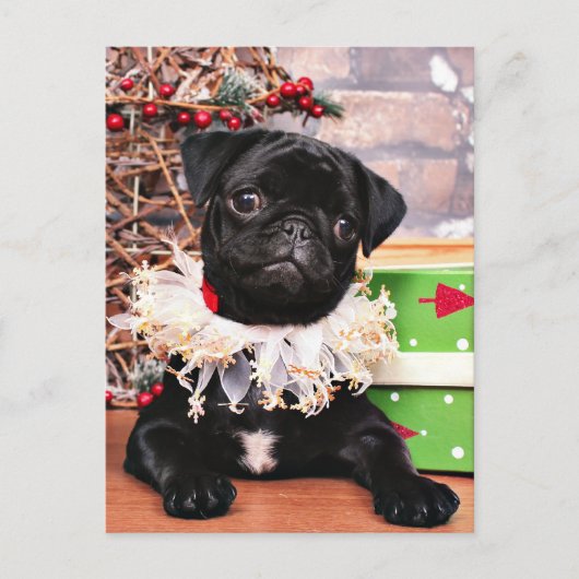 Kerstmis - Pug - Daisy Mae Feestdagenkaart (Voorkant)