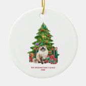 Kerstmis Ragdoll Kat Kerst Ornament (Voorkant)