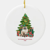 Kerstmis Ragdoll Kat Kerst Ornament (Achterkant)