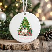 Kerstmis Ragdoll Kat Kerst Ornament