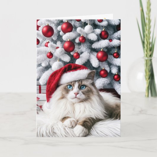 Kerstmis Ragdoll kat met een kerstman hoed Kaart (Voorkant)