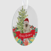 Kerstmis Ragdoll kat Ornament (voorkant)