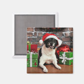 Kerstmis - Rattenkruid - Sparky Magneet (Voorkant / Achterkant)