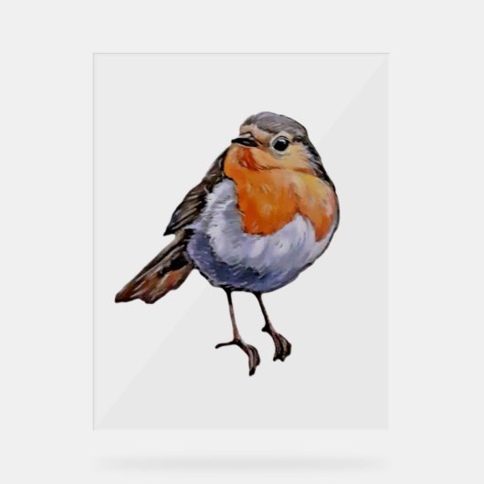 KERSTMIS ROBIN Acryl Teken ART DESIGN STIJL Bord (Voorkant)