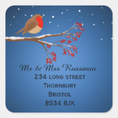 Kerstmis Robin Wijzig adres sticker (Voorkant)