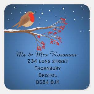 Kerstmis Robin Wijzig adres sticker
