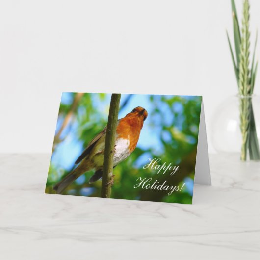 KERSTMIS ROBINS FEESTDAGEN KAART (Voorkant)