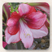 Kerstmis: Rode feestdag Floral Bier Onderzetter (Voorkant)