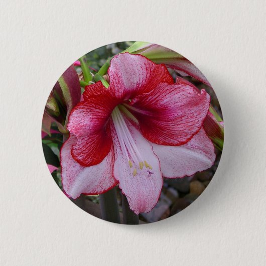 Kerstmis: Rode feestdag Floral Ronde Button 5,7 Cm (Voorkant)