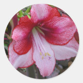 Kerstmis: Rode feestdag Floral Ronde Sticker (Voorkant)