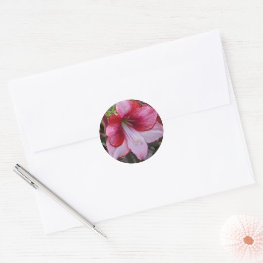 Kerstmis: Rode feestdag Floral Ronde Sticker (Envelop)
