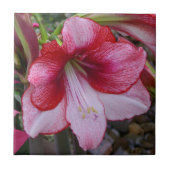 Kerstmis: Rode feestdag Floral Tegeltje (Voorkant)