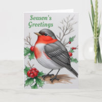 Kerstmis Rode Robin Bird