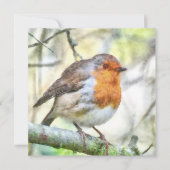 Kerstmis Roodborstje Winter Aquarel Kaart (Voorkant)