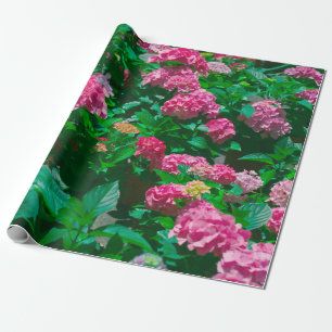 Kerstmis Roos Helleborus Flowers Floral Cadeaupapier