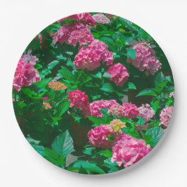 Kerstmis Roos Helleborus Flowers Floral Papieren Bordje