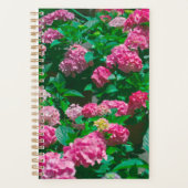 Kerstmis Roos Helleborus Flowers Floral Planner (Voorkant)