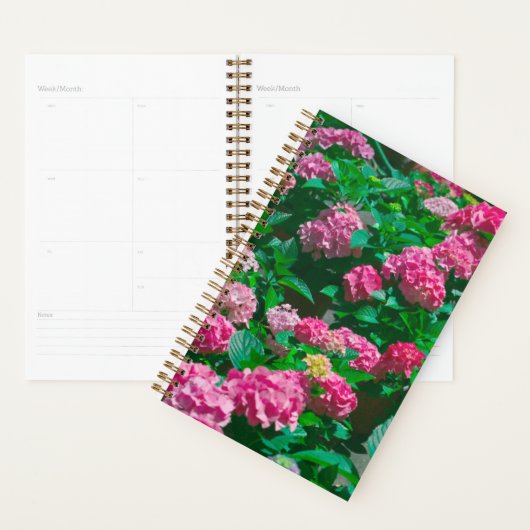 Kerstmis Roos Helleborus Flowers Floral Planner (Display)