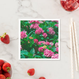 Kerstmis Roos Helleborus Flowers Floral Servet