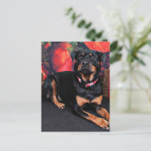 Kerstmis - Rottweiler - Nalani Feestdagenkaart (Staand voorkant)