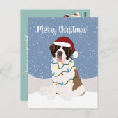 Kerstmis Saint Bernard Briefkaart (Voorkant / Achterkant)