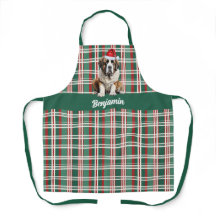 Kerstmis Saint Bernard Kerstman Hond