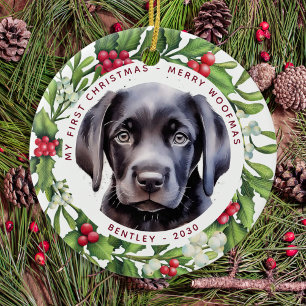 Kerstmis — Santa Dog 2020 Pandemisch Keramisch Ornament