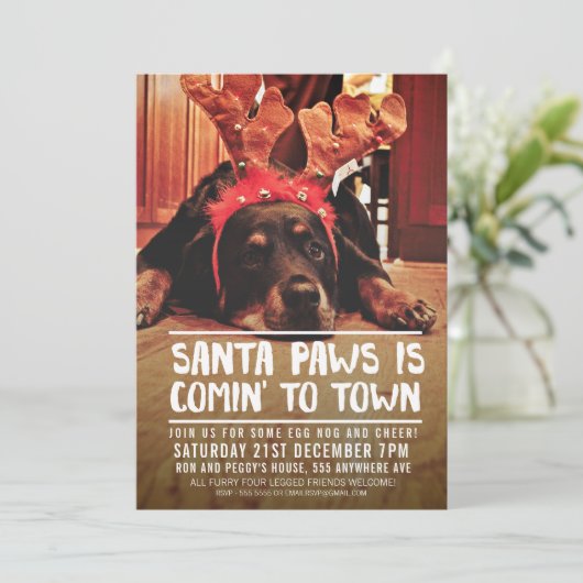 KERSTMIS SANTA PAWS FEESTFOTO KAART (Staand voorkant)