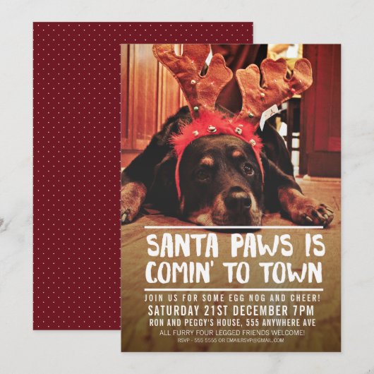 KERSTMIS SANTA PAWS FEESTFOTO KAART (Voorkant / Achterkant)