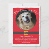Kerstmis Santa Paws Foto Feestdagenkaart (Voorkant)
