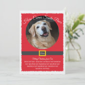 Kerstmis Santa Paws Foto Feestdagenkaart (Staand voorkant)
