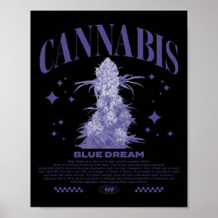 Kerstmis Sativa Hybride Stam Blue Dream Poster