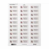 Kerstmis Schaap Kerstman Retouradres Label (Full Sheet)