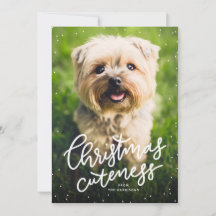 Kerstmis schattigheid cute huisdier vakantiekaart