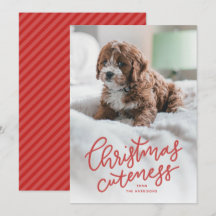 Kerstmis schattigheid cute huisdier vakantiekaart