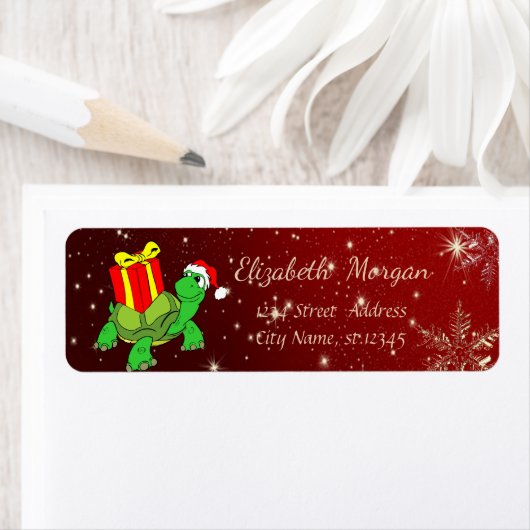 Kerstmis, schildpad, Santa Hat, Cadeau Etiket (Insitu)