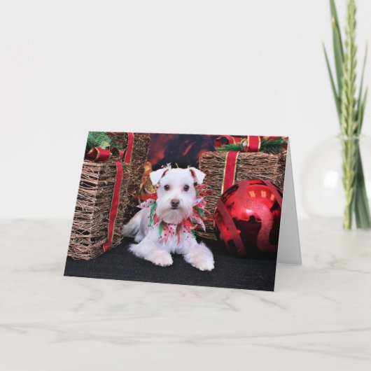 Kerstmis - Schnauzer - Emma Feestdagen Kaart (Voorkant)