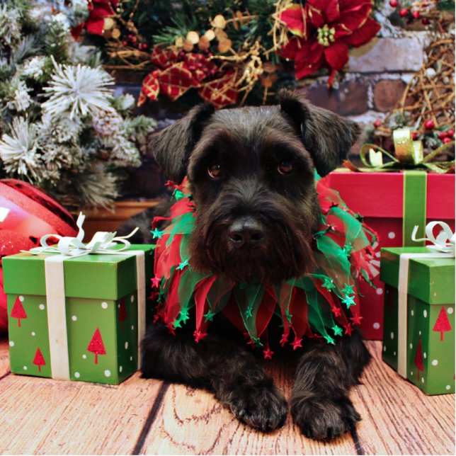 Kerstmis - Schnauzer Mix - Bentley Staand Fotobeeldje (Voorkant)