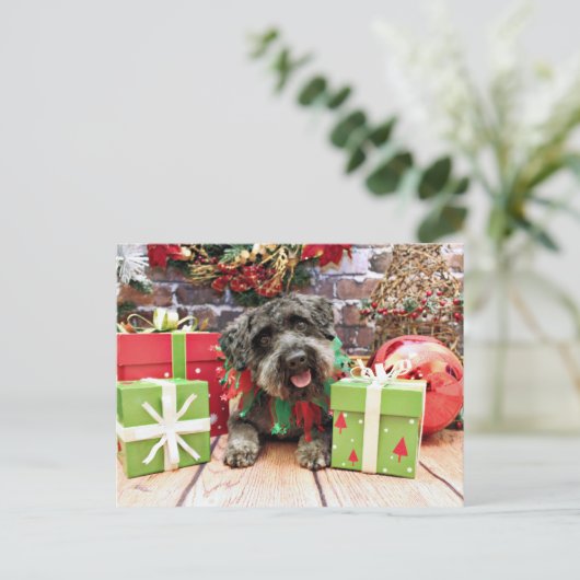 Kerstmis - Schnoedle - Dexter Feestdagenkaart (Staand voorkant)