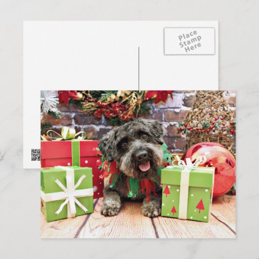 Kerstmis - Schnoedle - Dexter Feestdagenkaart (Voorkant / Achterkant)