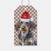 Kerstmis Schotse ruit Draadhaar Dwergdachshund Hon Cadeaulabel (Voorkant)