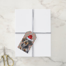 Kerstmis Schotse ruit Draadhaar Dwergdachshund Hon Cadeaulabel