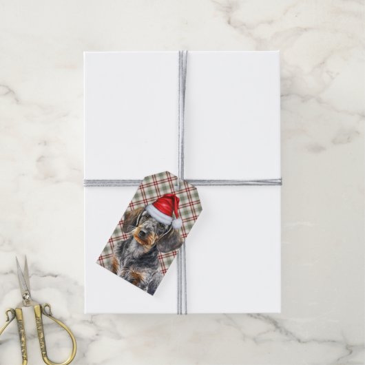 Kerstmis Schotse ruit Draadhaar Dwergdachshund Hon Cadeaulabel (Met Touw)