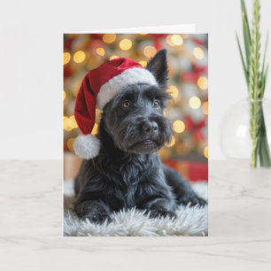 Kerstmis Schotse Terriër Op Vacht Kaart