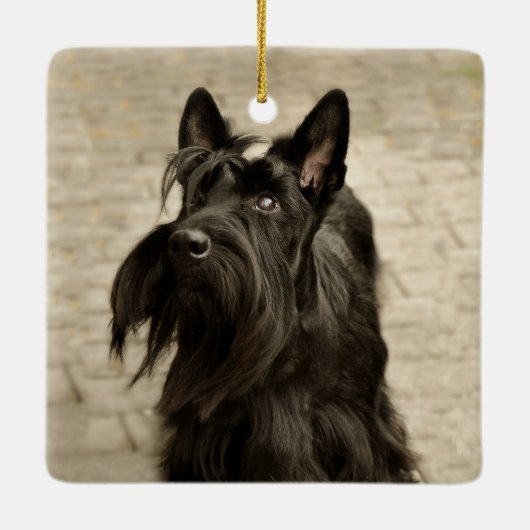 Kerstmis Scottie Hond Foto Buffel Plaid Groen Keramisch Ornament (Achterkant)