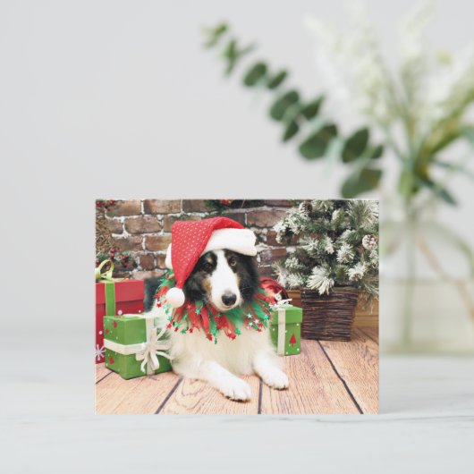 Kerstmis - Sheltie - Bandiet Feestdagenkaart (Staand voorkant)